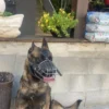 ⁦מחסום ברזל מרושת לכלב - רסן⁩ – תמונה ⁦3⁩