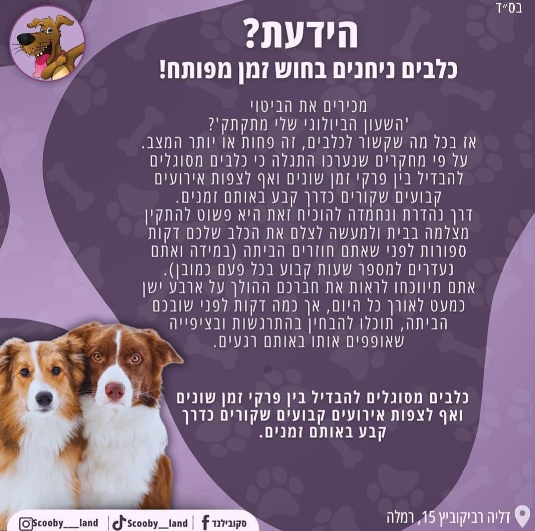 חוש זמן