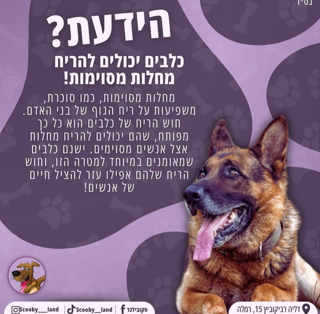 חוש ריח