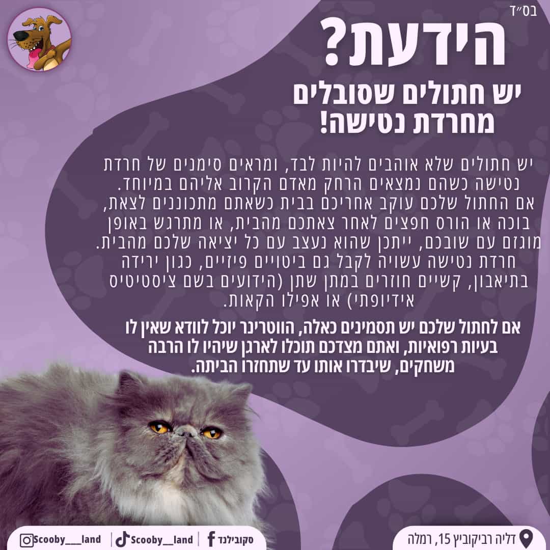 חרדה