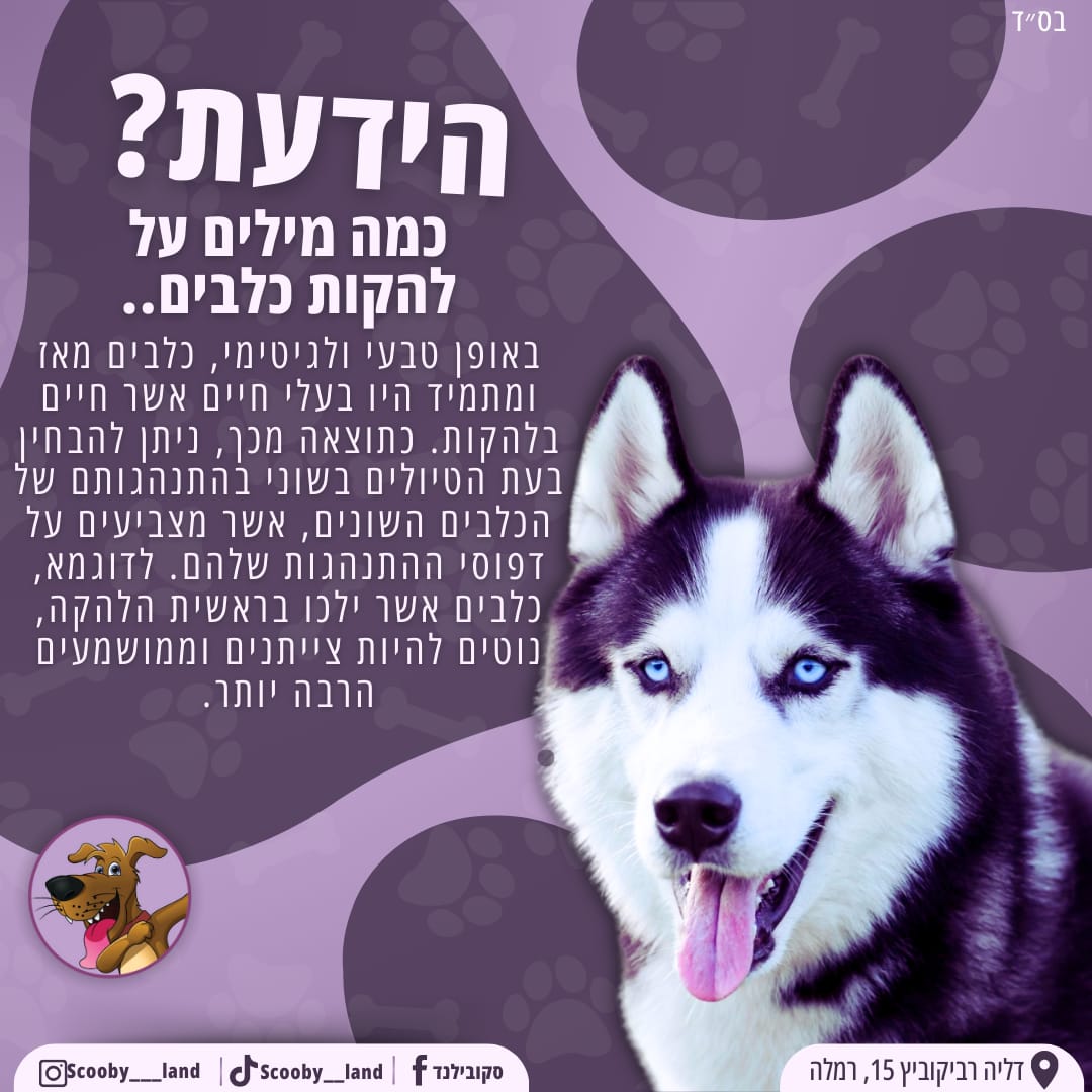 להקות